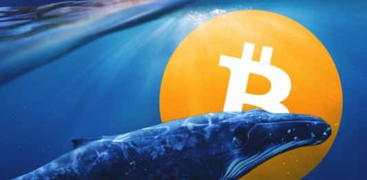 BTC veľryby