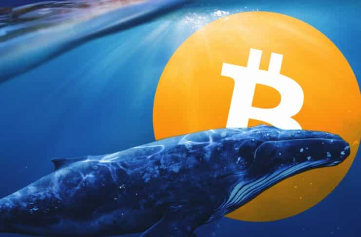 BTC veľryby