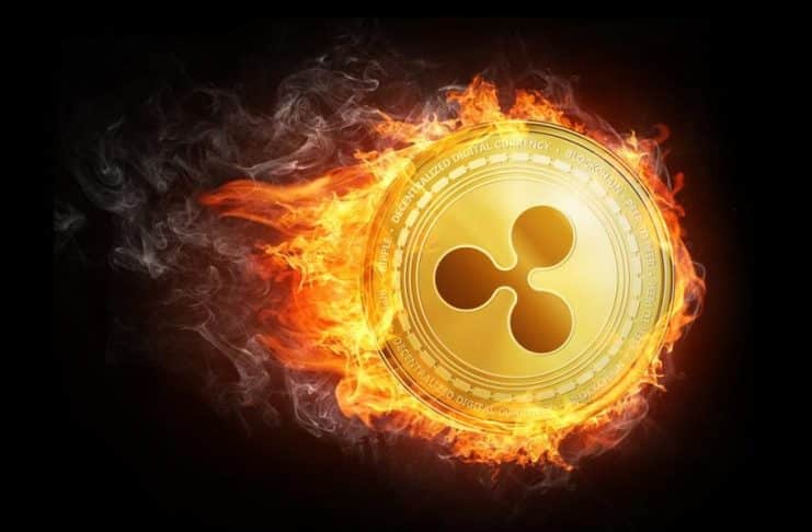 XRP Ripple