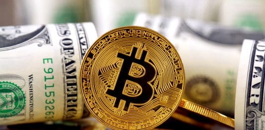 BTC vs Dolár