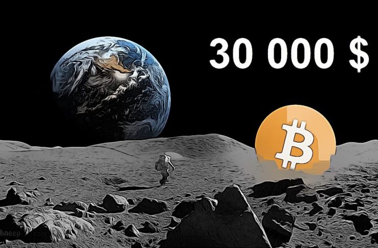 Bitcoin 30 000 $ moon
