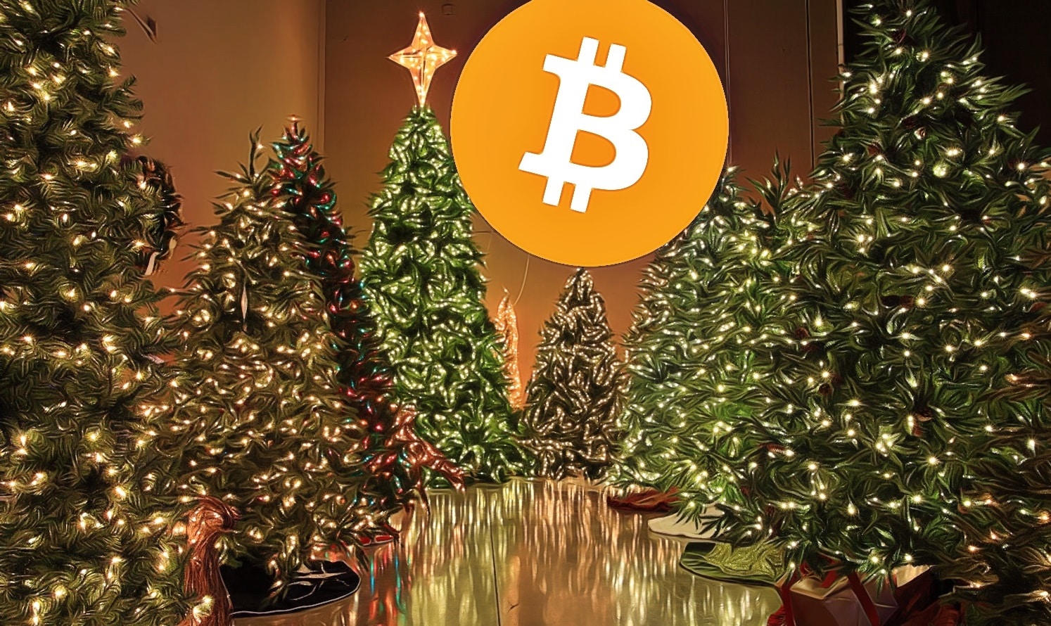 kryptomeny na vianoce pod stromčekom