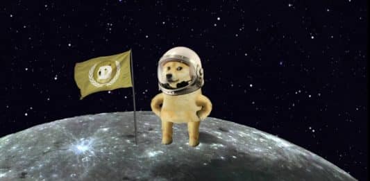 DOGE