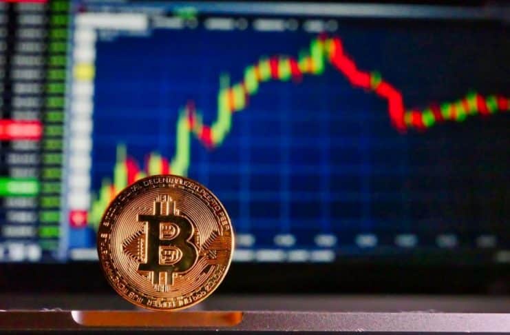 Bitcoin medvede a býci