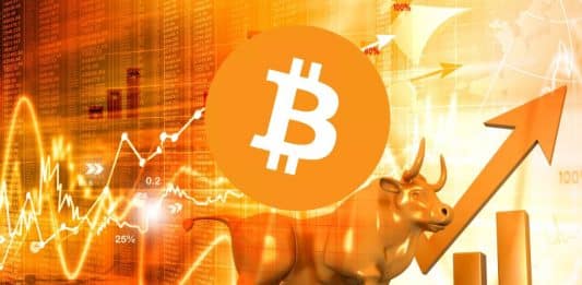 bull BTC