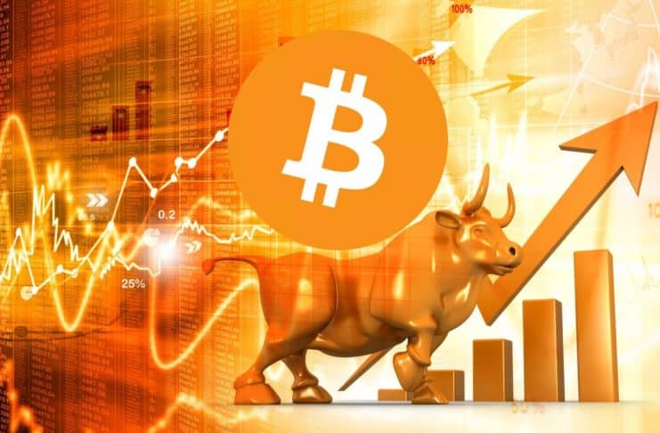 bull BTC