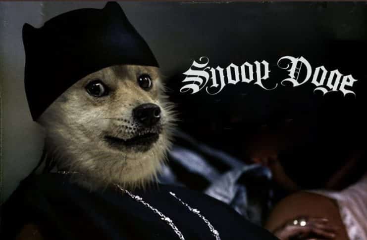 Snoop Doge