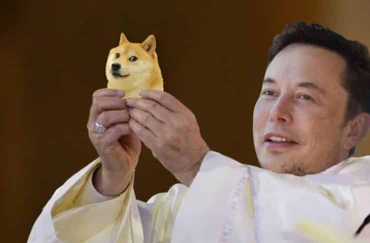 Elon Musk Doge Dogecoin