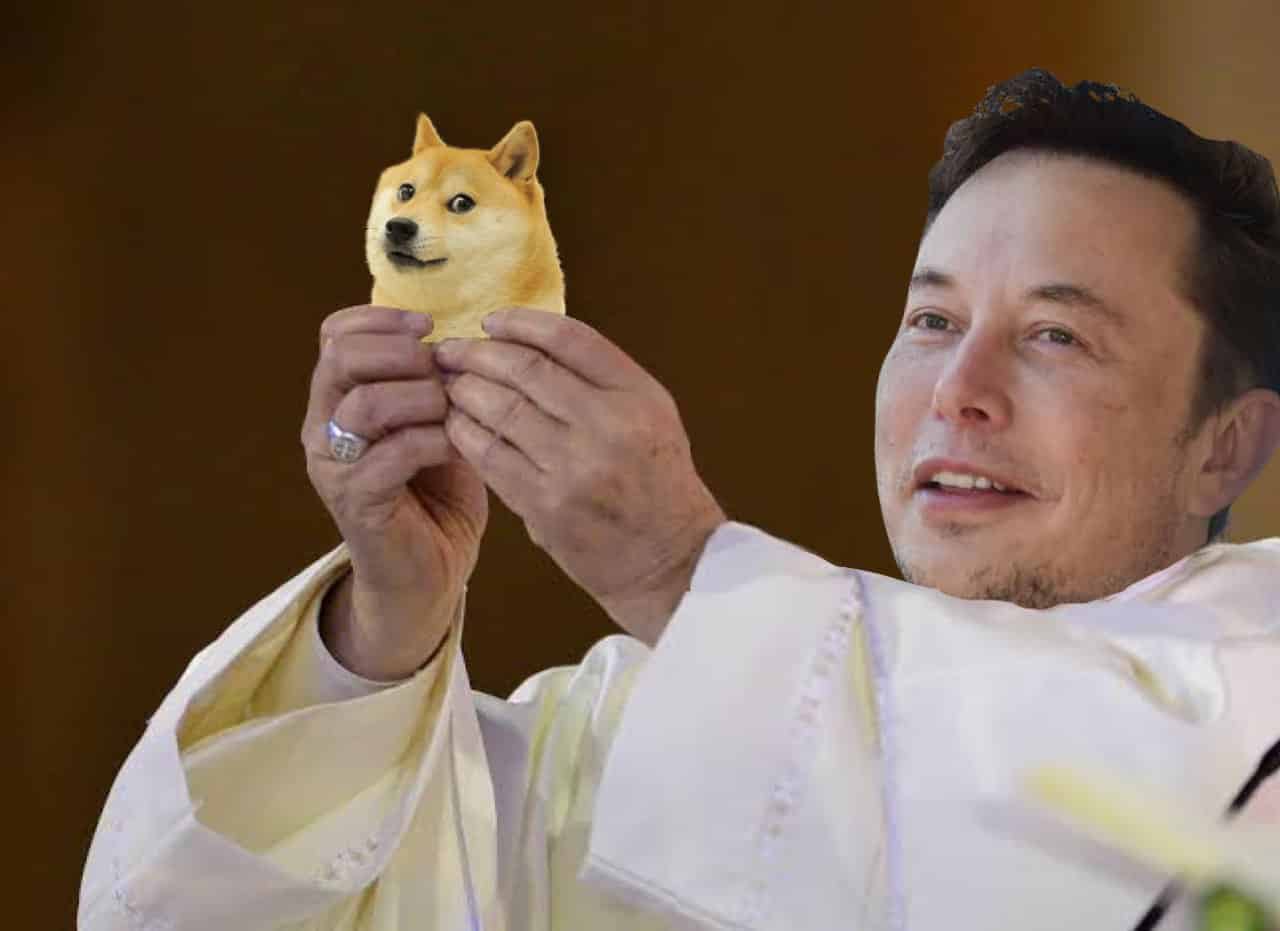 Elon Musk Doge Dogecoin