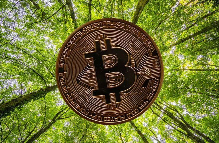 eco btc