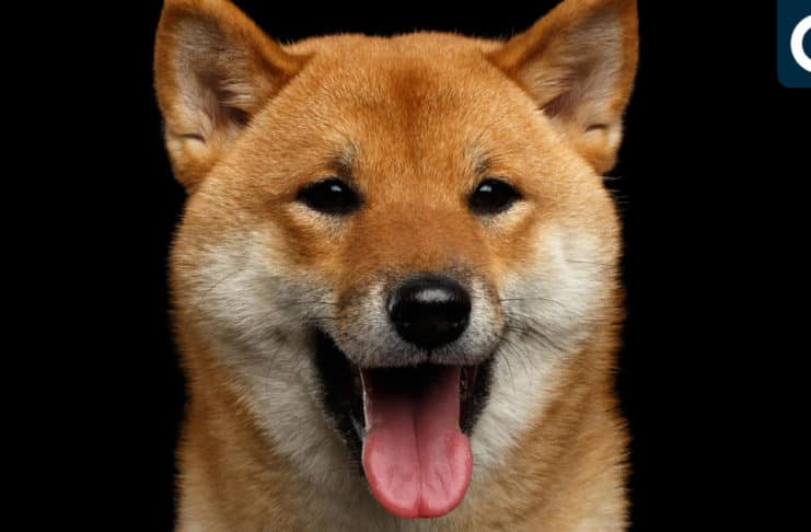 Shiba Inu SHIB