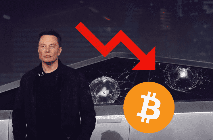 musk bitcoin