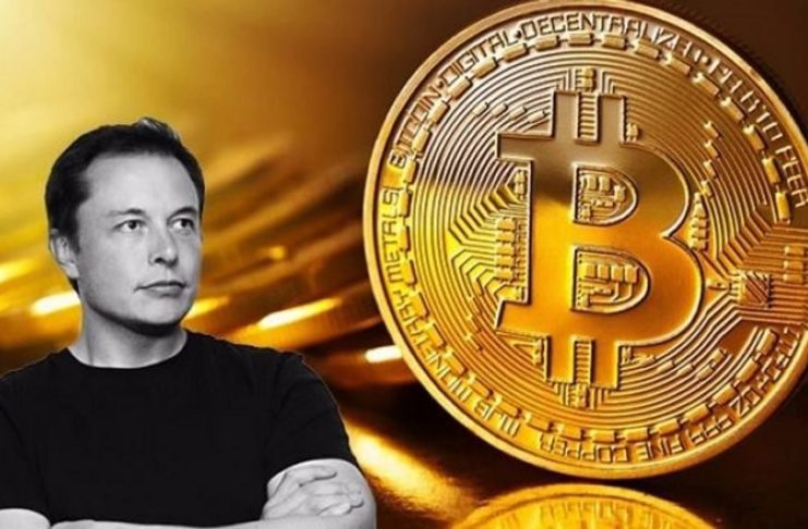 Musk BTC