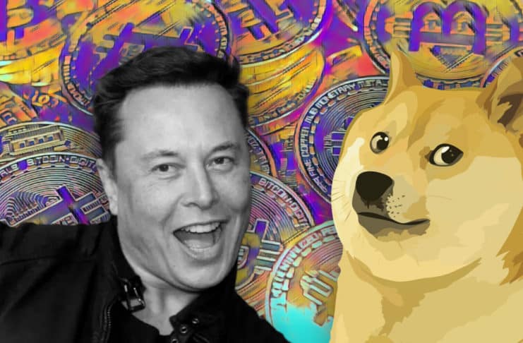 doge elon
