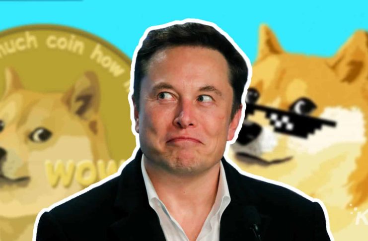 elon musk doge