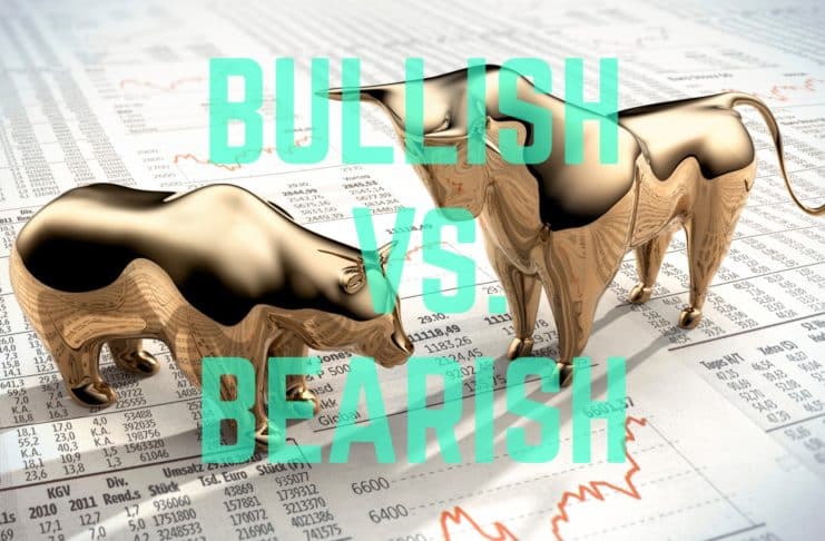 bullish bearish trend. Zdroj: Shutterstock.com/peterschreiber.media
