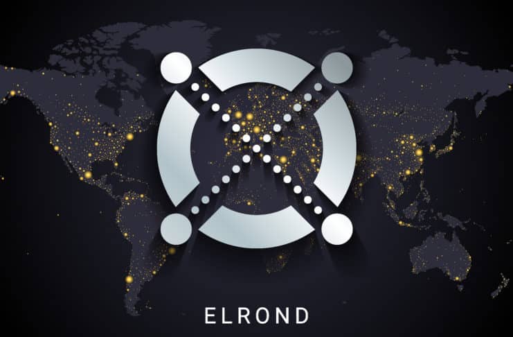 protokol Elrond rastie