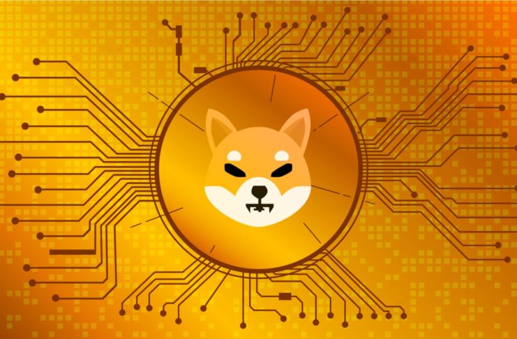 Burry kritizuje SHIBA INU