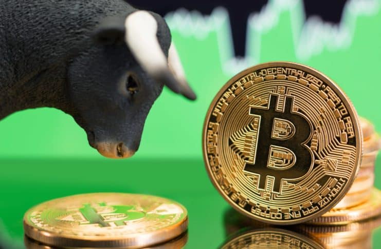 Bitcoin analýza expert