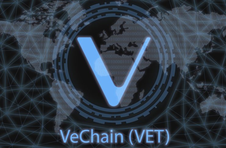 VeChain VET PoA