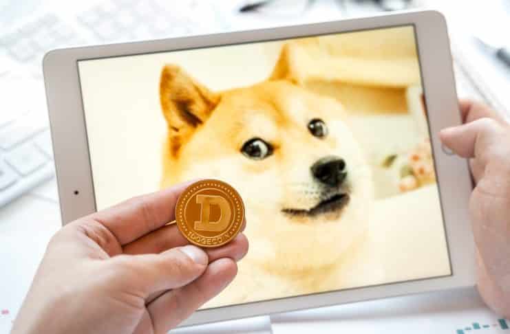 staking doge