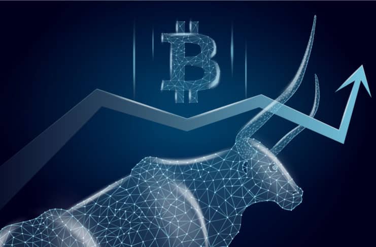 Býčí útok Bitcoinu zlikvidoval medvede