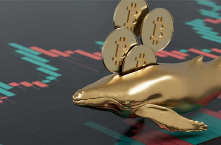 Pomer ponuky BTC výrazne vzrástol