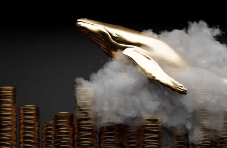Veľryba kúpila 51 miliárd tokenov SHIB