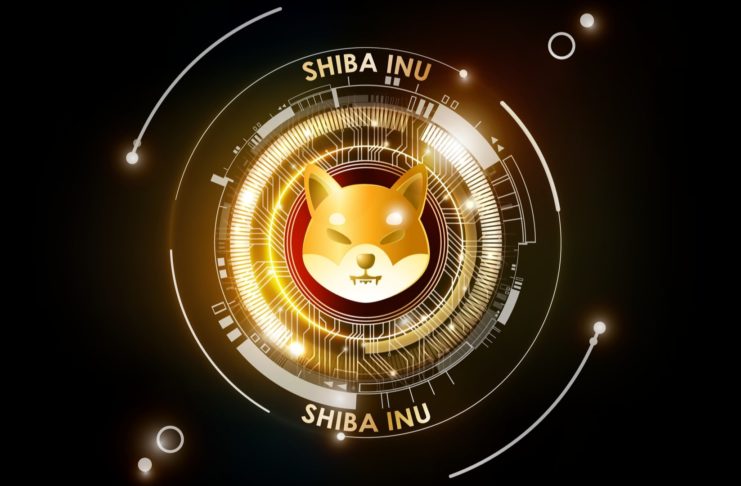Shiba Inu zaznamená hype na Google