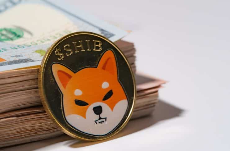Veľryby sa nevedia nabažiť Shiba Inu