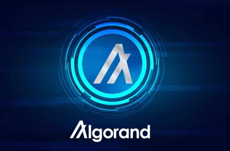 Perspektívny Algorand vypumpoval na 40%!