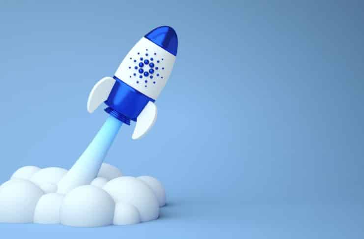 Cardano a krátkodobí držitelia v sieti