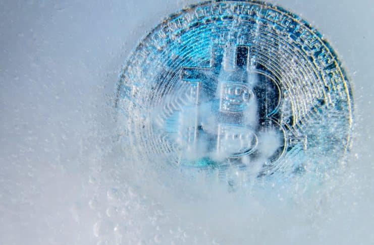 Medvedí trh a kryptozima