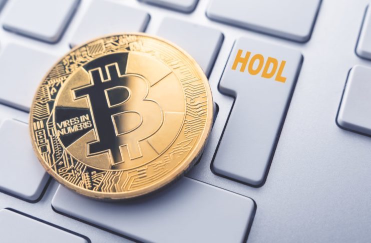 Bitcoin a onchain hodl metrika