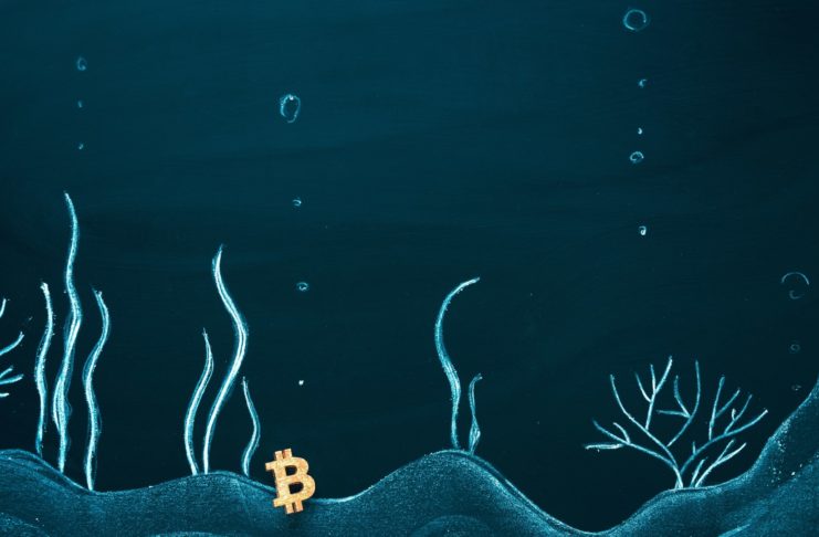 Investor Kevin O'Leary : Blíži sa masívna „kryptopanika" a veľká časť odvetvia bude zlikvidovaná!