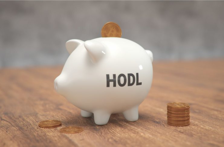 Bitcoin a metrika hodl waves.