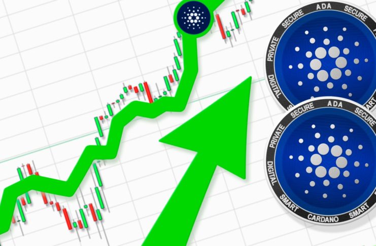 Cardano vzbudzuje veľký záujem veľrýb