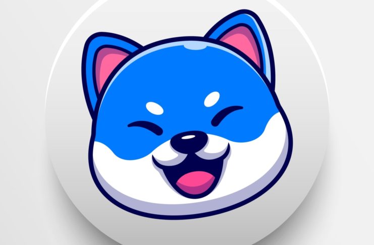 Tento meme coin narástol o 150 %.