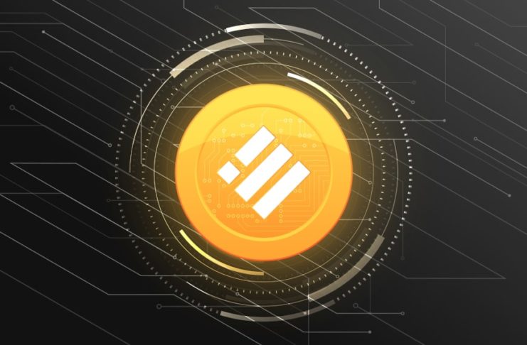 Pozor: Binance končí s podporou stableconu USDC, chce podporiť vlastný stablecoin BUSD!