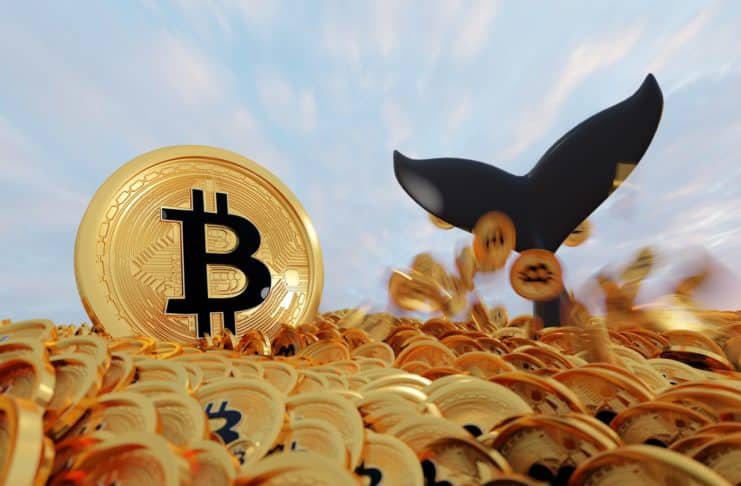 Najväčšie bitcoinové adresy.