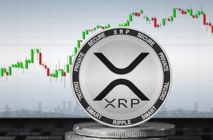 XRP a veľkí investori