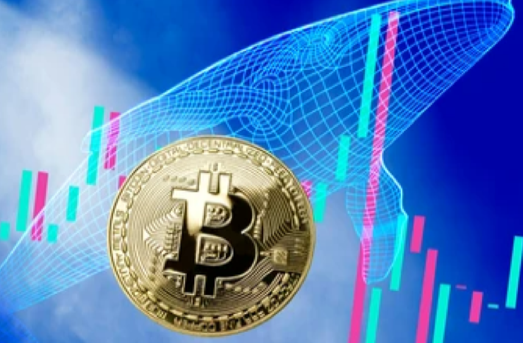 Bitcoin a veľkí hráči