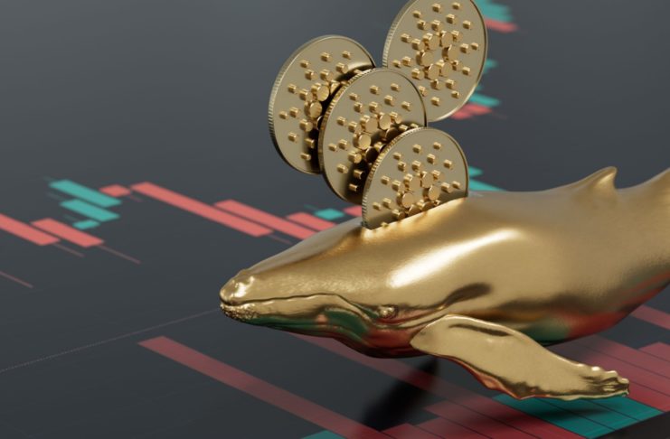 Cardano a akumulácia
