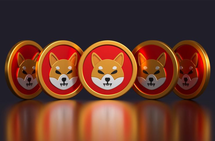 Shiba Inu môže masívne rásť