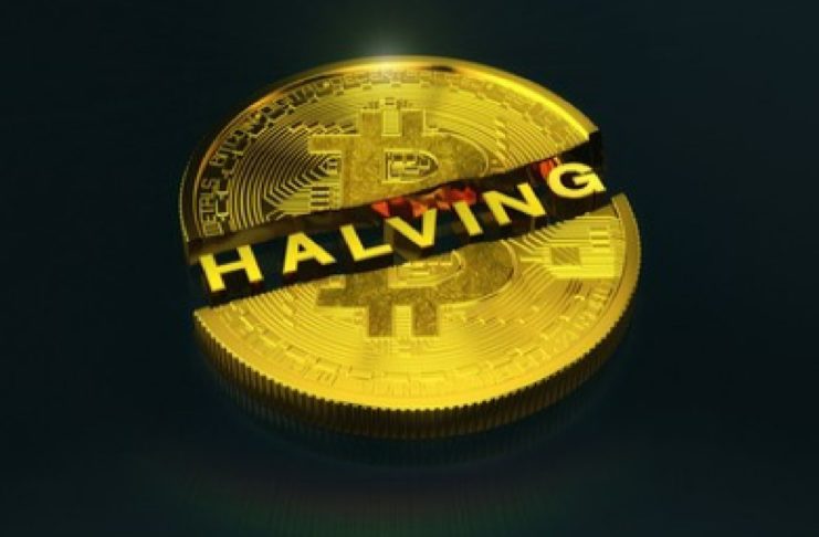 Halving a vplyv a cenu