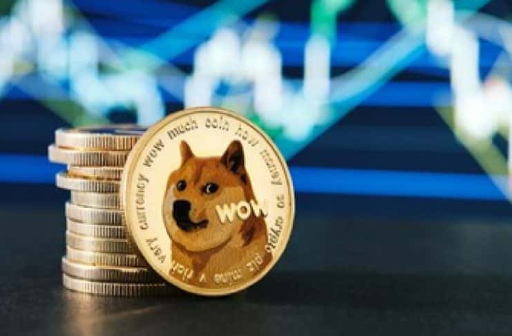 Popularita DOGE rastie