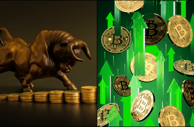 Bitcoin získal 76 miliárd
