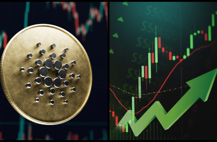 Cardano môže masívne rásť