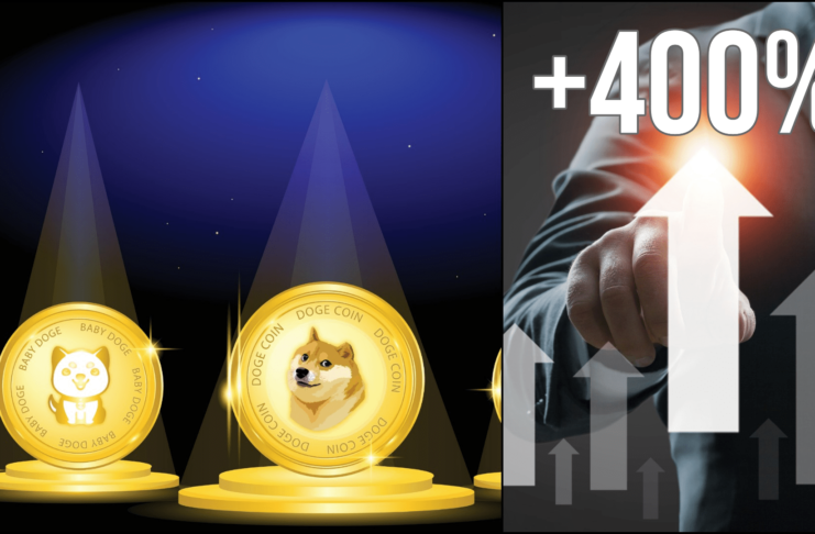 Baby dogecoin narástol o 400 %