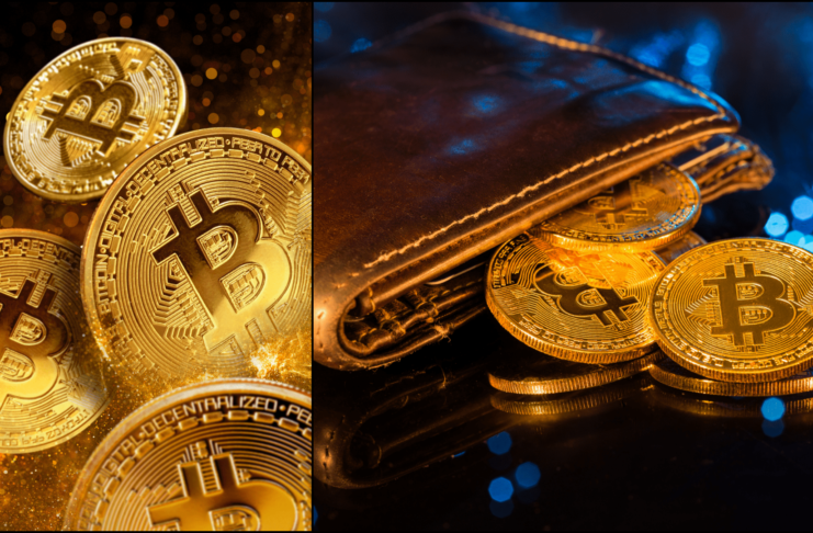 Bitcoin a najväčšia peňaženka
